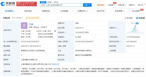 信息技術(shù)咨詢(xún)服務(wù) 推動(dòng)企業(yè)數(shù)字化轉(zhuǎn)型的智能引擎
